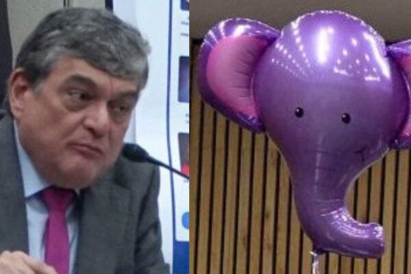 INE: La defensa de los acordeones, debate entre un elefante y un dado
