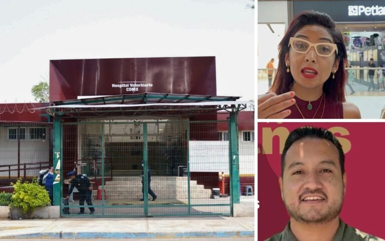 hospital-veterinario-de-cdmx-opera-entre-falta-de-equipo-y-histigamiento.jpg