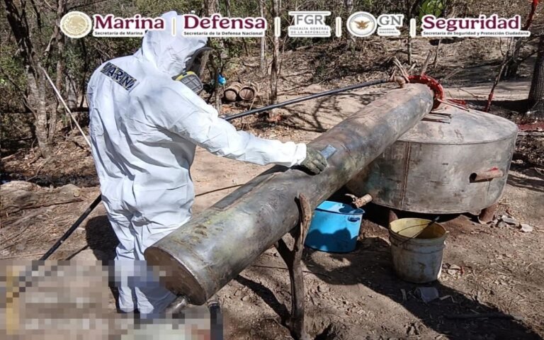 laboratorios-tres-estados-12012026.jpg