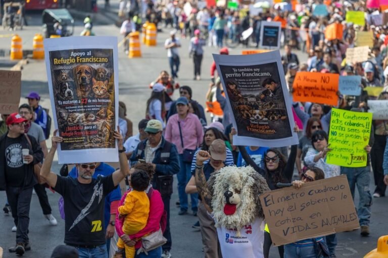 manifestacion-refugio-franciscano-reforma-110126-1.jpg
