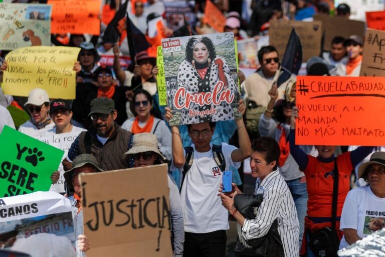 marcha-refugio-franciscano-masacre-canina-250126-1.jpg