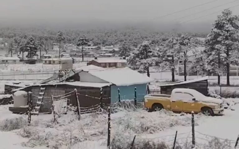 nieve-nevada-chihuahua-frio-nieve-tormenta-clima-chihuahua-sierra-130226-3.jpg