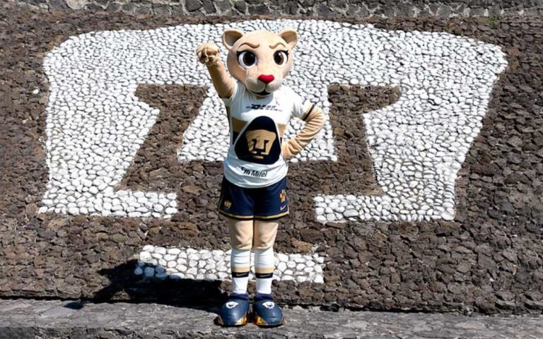 Pumas-anuncia-llegada-una-nueva-integrante-Goya-Video-19022026.jpg