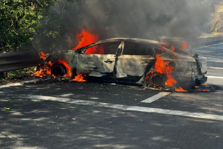 cjng-quema-vehiculos-nayarit-23022026.jpg