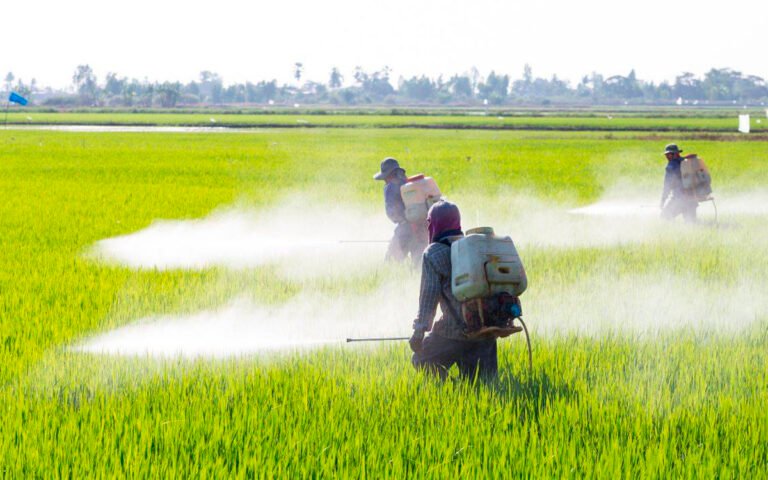 agroquimico-pesticidas-cambio-climatico-2-06102022.jpg