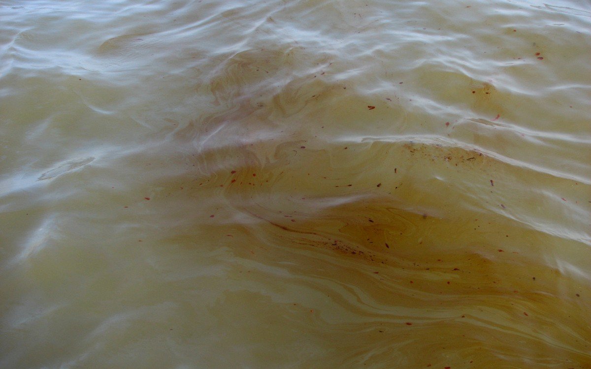 derrame-petrolero-en-el-golfo-petroleo-24032026.jpg