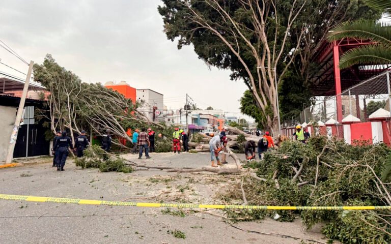 fuertes-vientos-oaxaca-diana-manzo-17032026.jpg