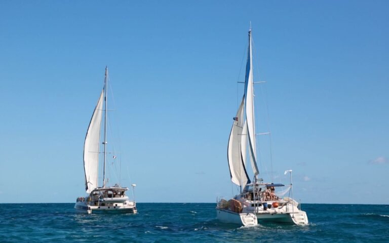 marina-busca-flotilla-de-dos-veleros-que-buscaba-llevar-comida-cuba.jpg