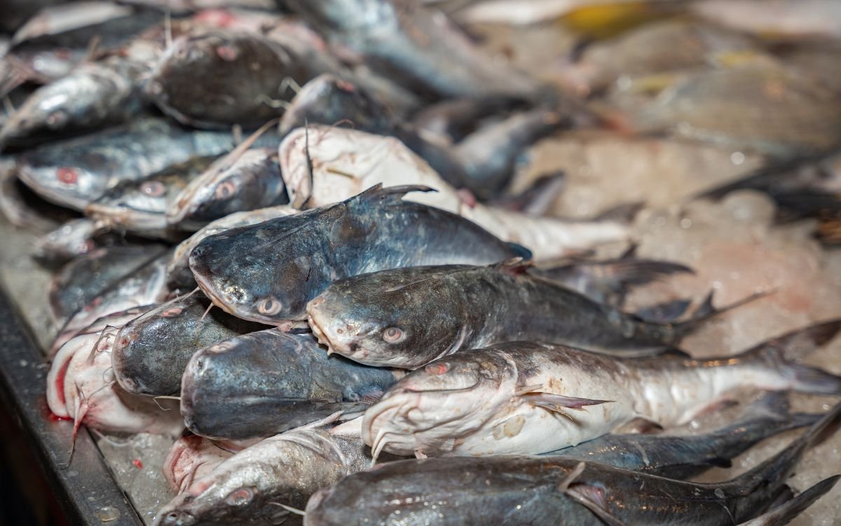 pescados-cambian-no-te-dan-lo-que-venden.jpg