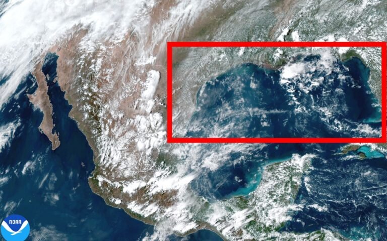 petroleras-golfo-de-mexico-estados-unidos-medio-ambiente.jpg