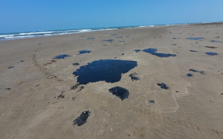 Derrame-petrolero_Golfo-Mexico_2_24032026.jpg