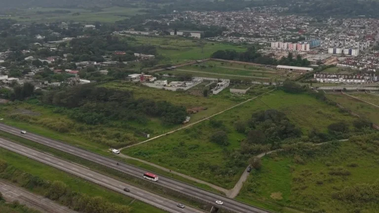 destacada-3