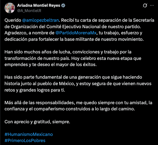 ‘Andy’ López Beltrán deja Morena; quiere ser diputado