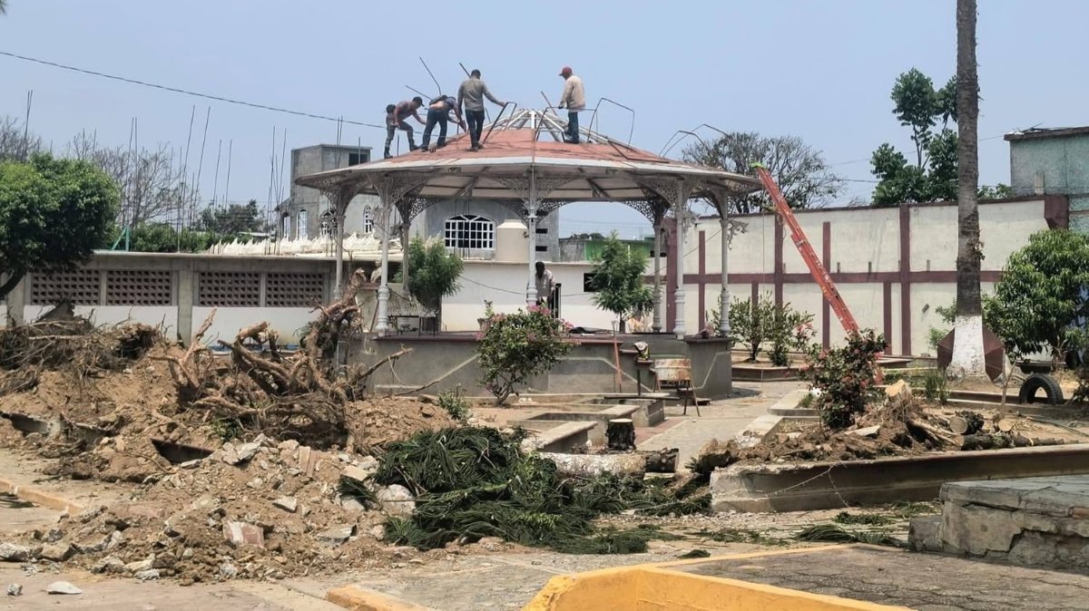 Denuncian otro ecocidio, ahora en Oaxaca; alcalde taló árboles para ‘obra deportiva’