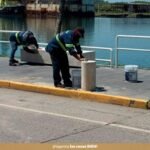 img_1780130662757
