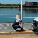 img_1780130663260