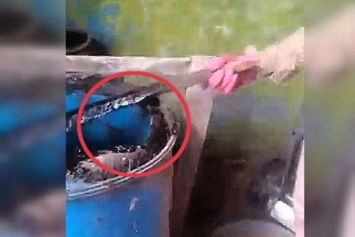 Jalisco | ‘Volteen a vernos’, exigen buscadoras por presuntos crematorios