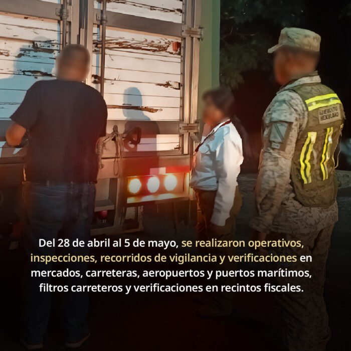 Rescatan 482 ejemplares de flora y fauna en operativo contra el tráfico ilegal