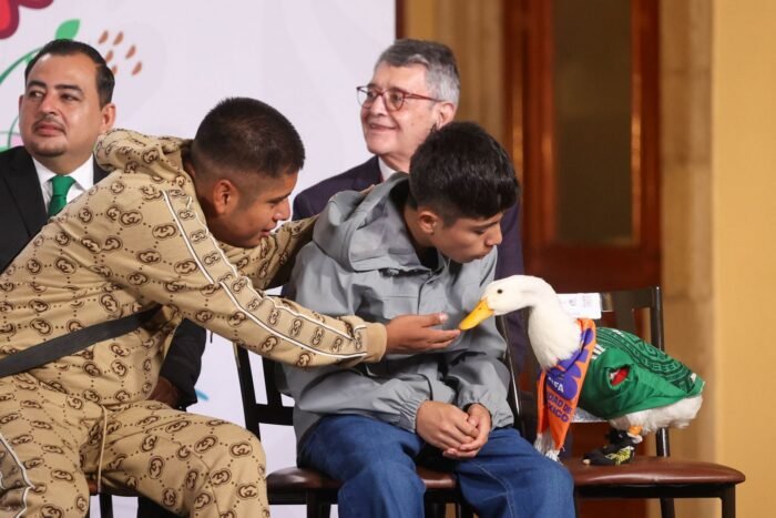 El pato Merlín visitó la mañanera, recibió halagos y le lanzó dos picotazos a la Presidenta