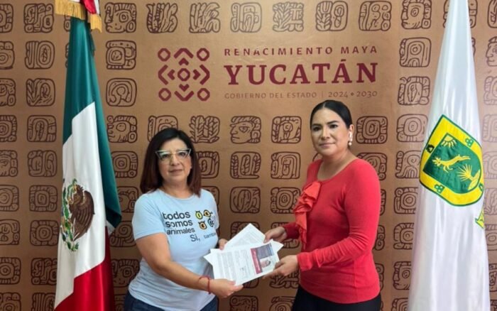 Organizaciones envían carta al gobernador de Yucatán para exigir alto a criminalización del activista Wilberth Nahuat Puc