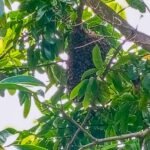 img_1783110778903