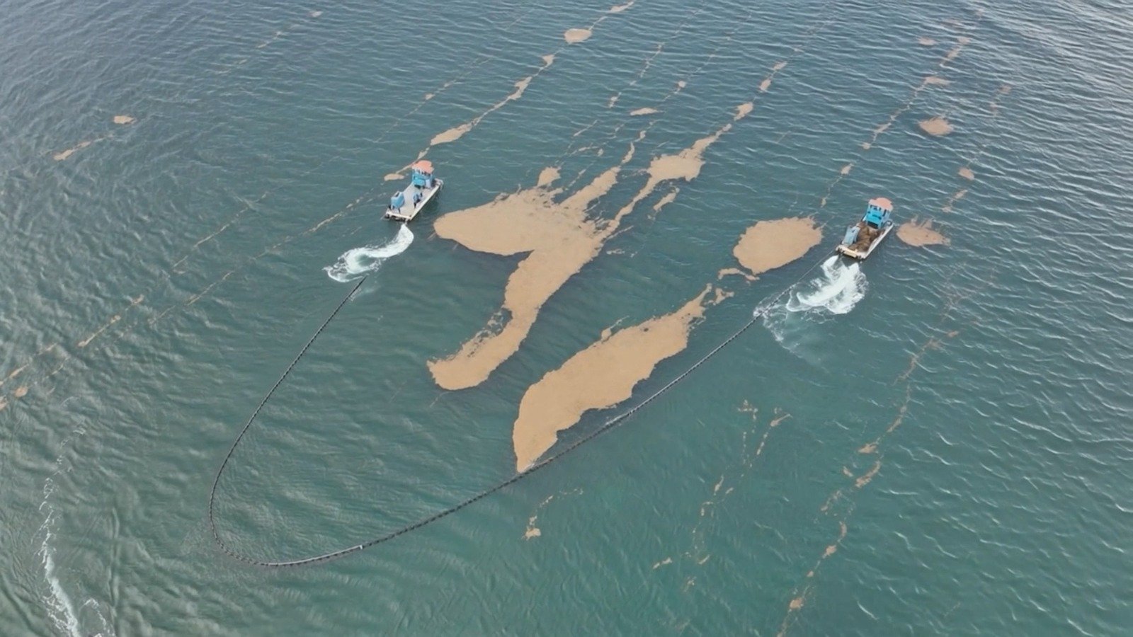 SEMAR impulsa estrategia integral contra el sargazo en el Caribe mexicano con inversión de 2 mil mdp – Foto 2
