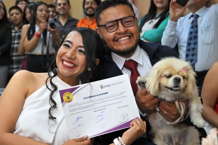 Perros y gatos, testigos simbólicos en bodas ‘pet frliendly’ de Ecuador