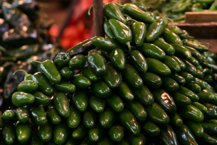Cofepris descarta salmonela en chiles jalapeños empacados en Nuevo León
