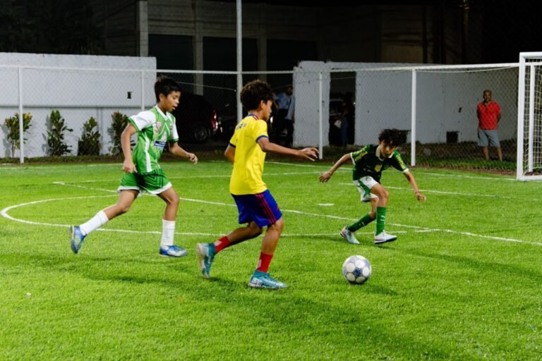 IMG-1
