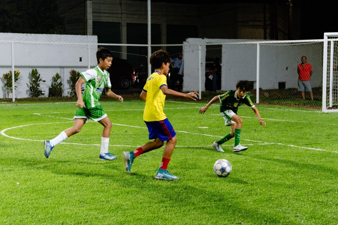 IMG-1