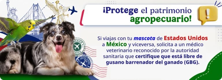 Perros deben pasar inspección contra gusano barrenador para cruzar la frontera México-EE. UU.