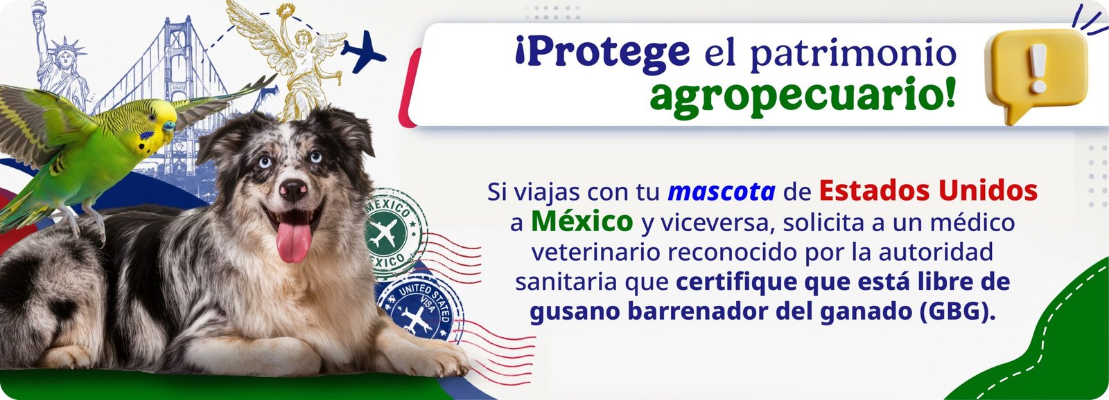 Perros deben pasar inspección contra gusano barrenador para cruzar la frontera México-EE. UU.