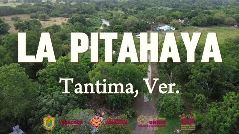 tmp1a__7u_u