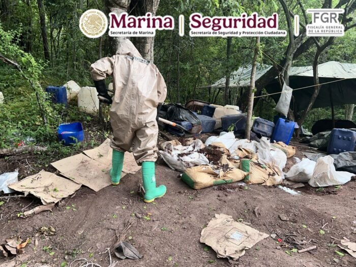 Aseguran más de 16 toneladas de metanfetamina en Sinaloa