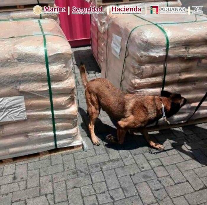 Aseguran más de 54 toneladas de dextrosa anhidra en Manzanillo; Johnson destaca operativo