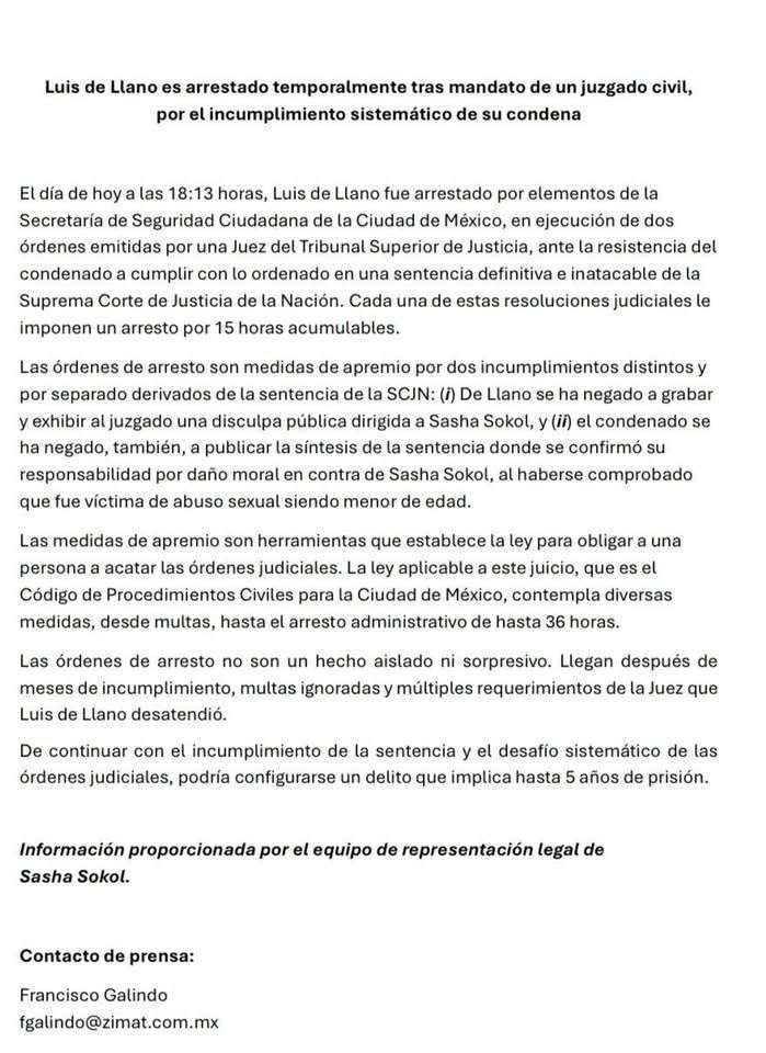 Detienen a Luis de Llano por negarse a ofrecer disculpa a Sasha Sokol y cumplir sentencia