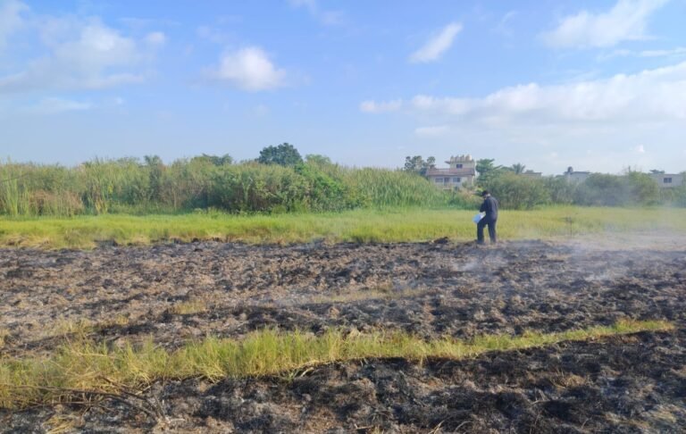 img_7d14ee485574.jpg