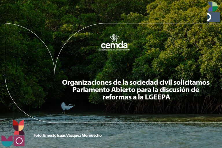 Organizaciones exigen Parlamento Abierto para reformar la ley ambiental