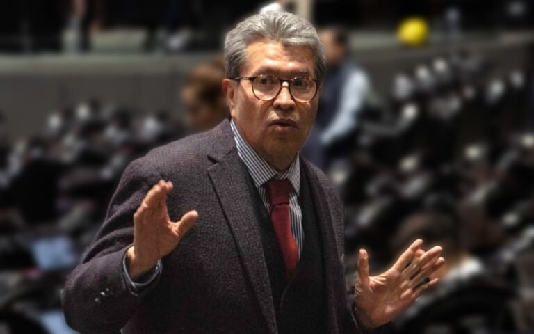 ‘Tenemos un problema de ingresos’: Monreal