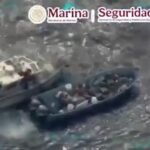 Asegura 1