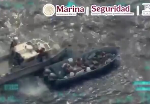 Asegura 1