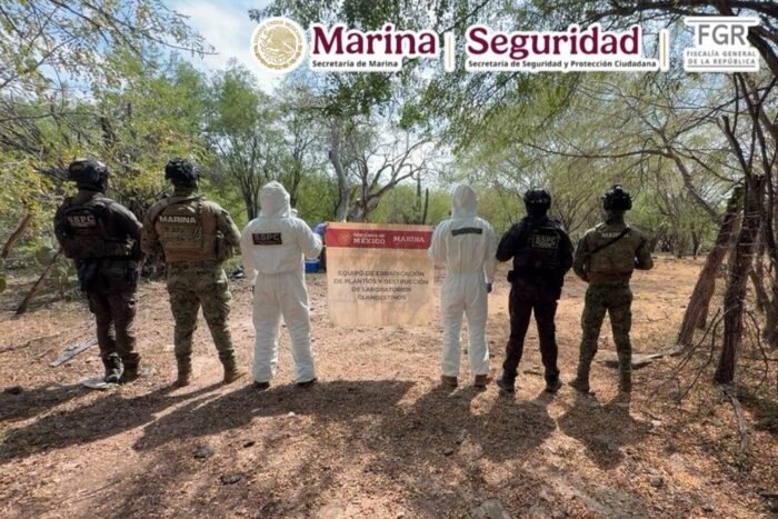 Aseguran 100 kilos de metanfetamina tras localizar laboratorio clandestino en Culiacán