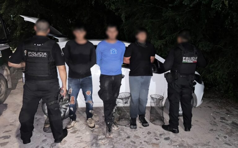Caen tres por posesión ilegal de tortuga casquito de Vallarta