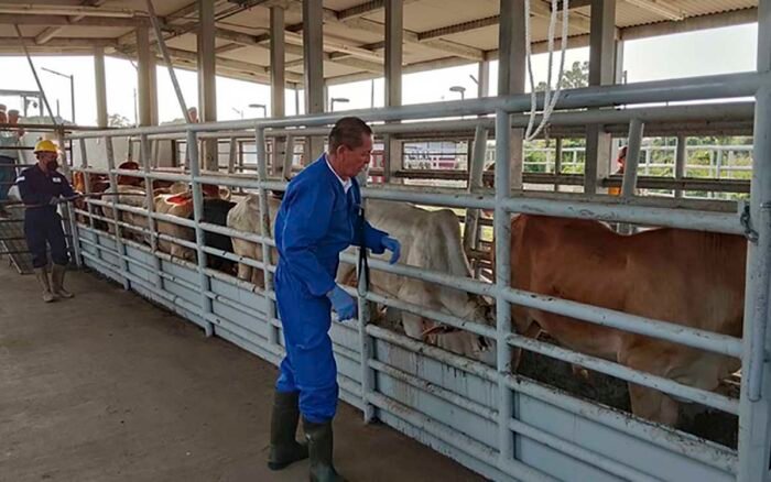 Descartan fiebre aftosa en Sonora y anuncian reanudación de exportaciones de ganado a EE.UU.