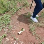 Gobierno federal pide verificar hallazgo de presunto campo de exterminio en Nayarit