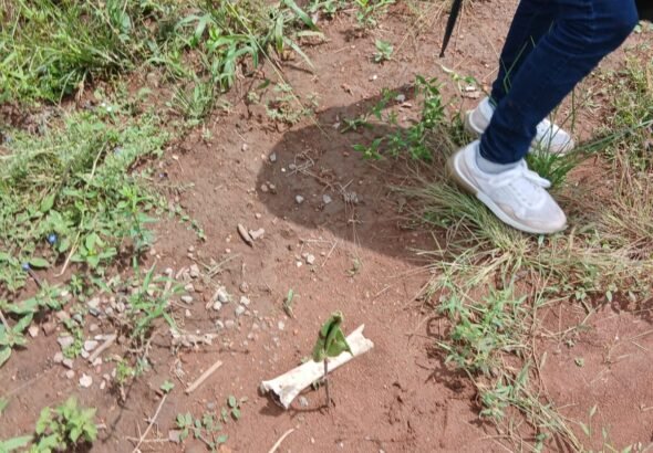 Gobierno federal pide verificar hallazgo de presunto campo de exterminio en Nayarit