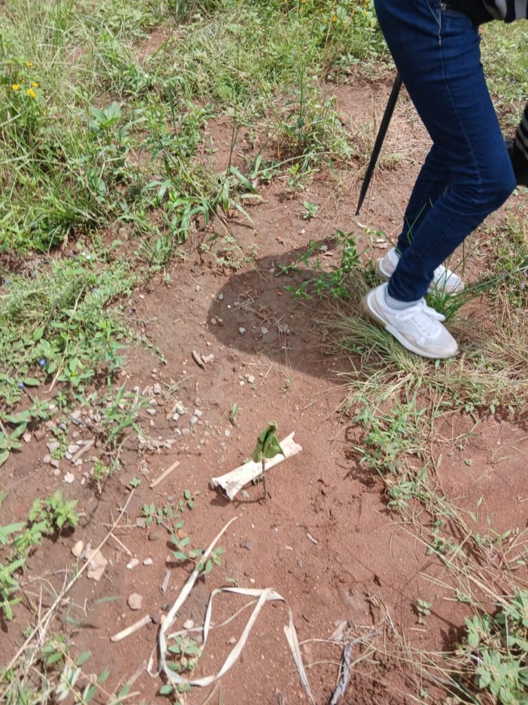 Gobierno federal pide verificar hallazgo de presunto campo de exterminio en Nayarit