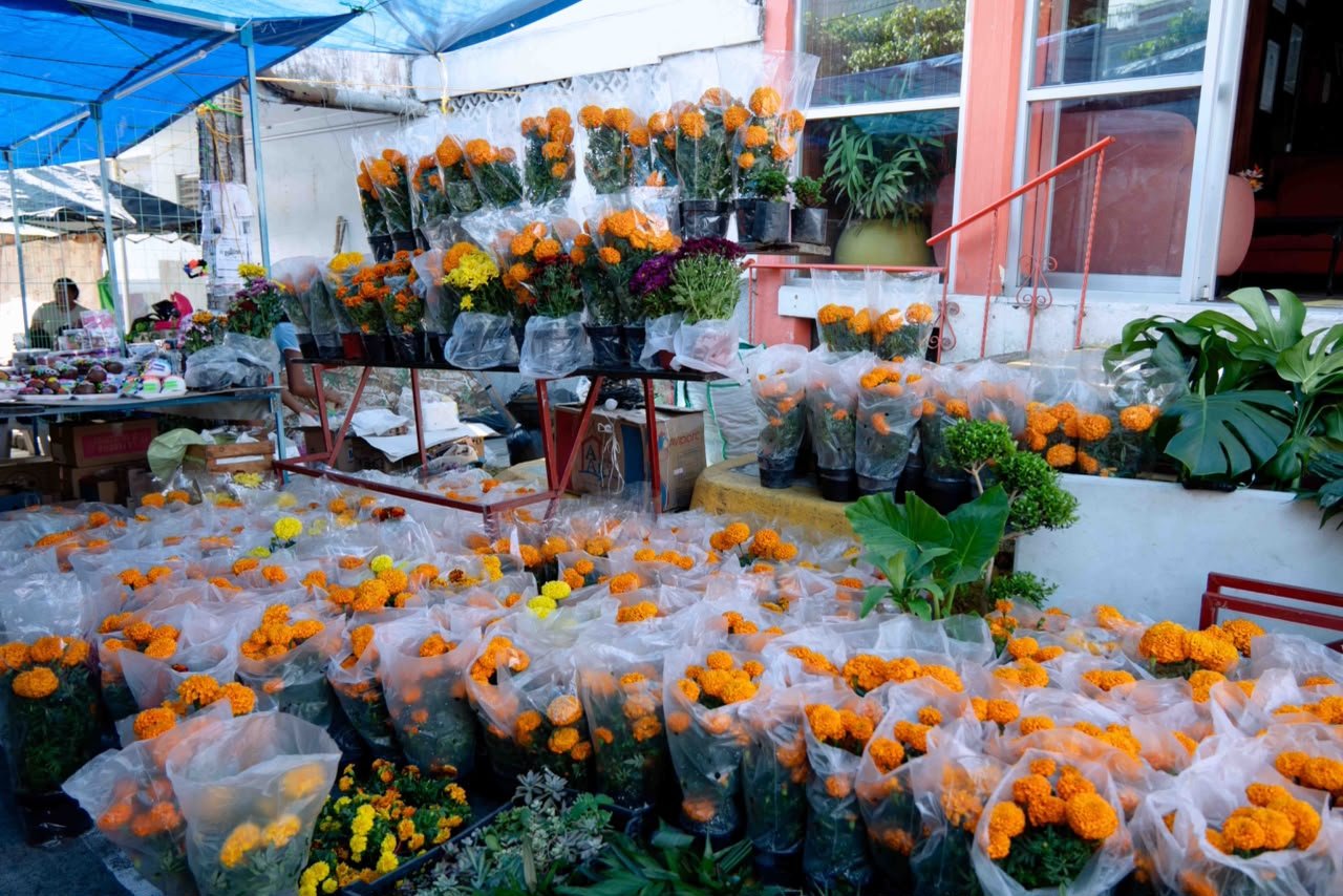Plaza de Todos Santos Tuxpan 2026