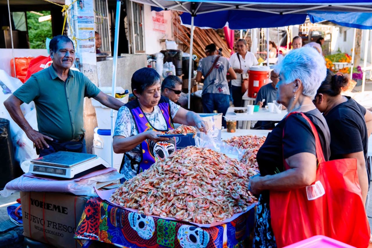 Plaza de Todos Santos Tuxpan 2026