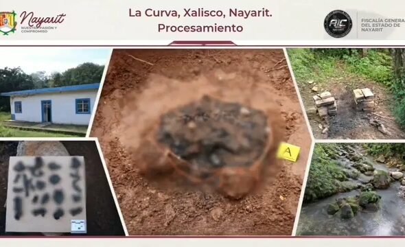 ‘Movías la maleza y salía un huesito’, dice buscadora sobre sitio de exterminio en Nayarit